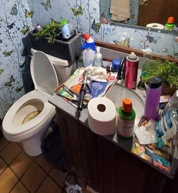 rentals apartment complex cleaning service